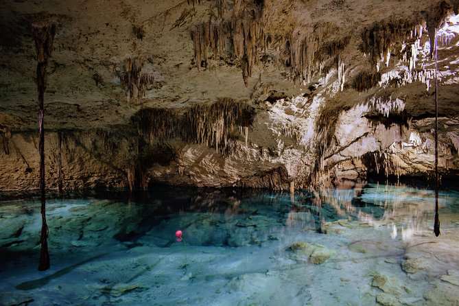 Private Cenote & Snorkeling Tour with Turtles in Akumal - Snorkeling Comfort and Safety: What Makes This Tour Feel Relaxed