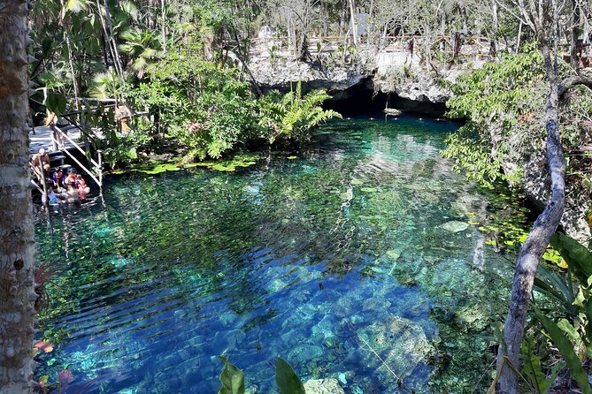 Private Cenotes tour - The Guides Are Part of the Value: Josh, Leo, Caleb, Omar, Salvador