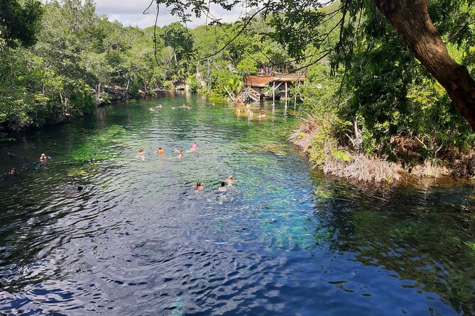 Private Cenotes tour - Snorkeling and Swimming Comfort: How the Day Feels in Real Water