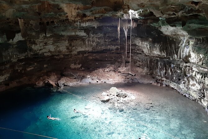Private Cenotes tour - Casa Cenote: An Open-Air Natural Pool with Mangroves and Fish