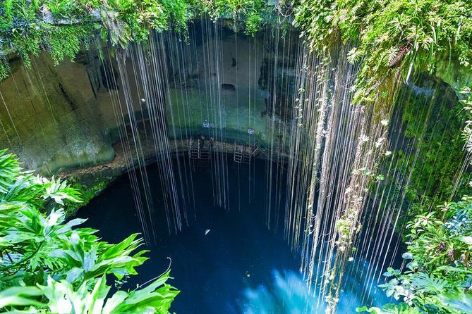 Private Chichen Itza, Cenote and Valladolid Tour with Lunch - Key reasons this tour gets nonstop 5-star praise
