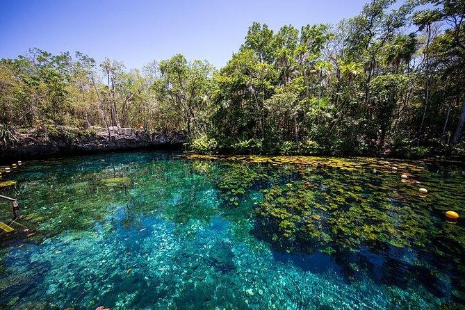 Private Coba & Jungle Adventure: Zipline, Rappel & Cenote - Cenote Toh (Yaxmulito): a short Taco Fiesta that anchors the finale