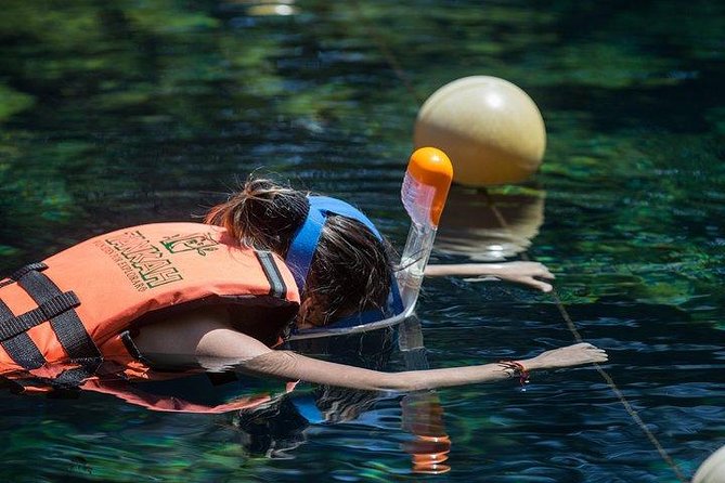 Private Coba & Jungle Adventure: Zipline, Rappel & Cenote - Price and Value: what $292.50 buys you when it includes transport and equipment