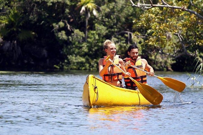 Private Coba & Jungle Adventure: Zipline, Rappel & Cenote - Who This Tour Fits Best (and who might want a calmer day)