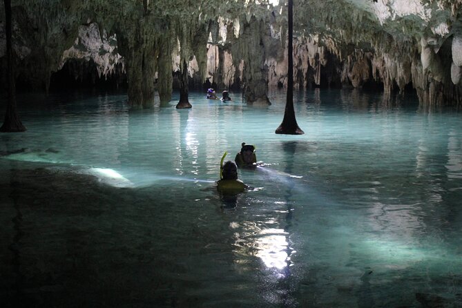 Private Dream Underground World (Off the beaten path Cenote cavernous exploring) - Guides Make the Cave Make Sense (and Feel Safe)