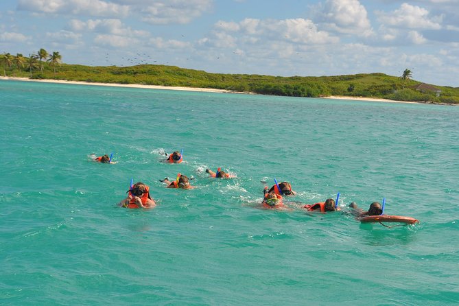 Private Escape: Isla Contoy & Isla Mujeres with Snorkeling - The beach lunch on Contoy: What you’re eating and why it feels right