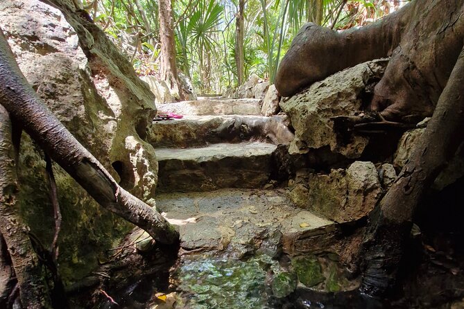 Private experience 5 cenotes at Riviera Maya - GoPro Photos and Pictures: A Day You Can Actually Experience