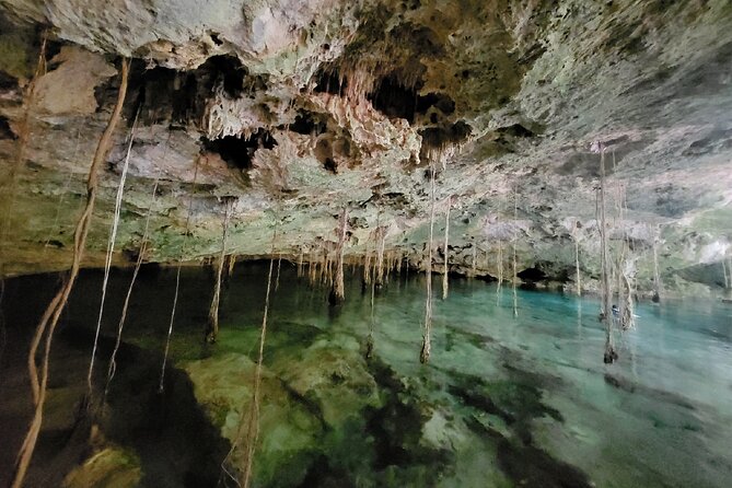 Private experience 5 cenotes at Riviera Maya - Price and Value: Is $150 per Person Worth It?