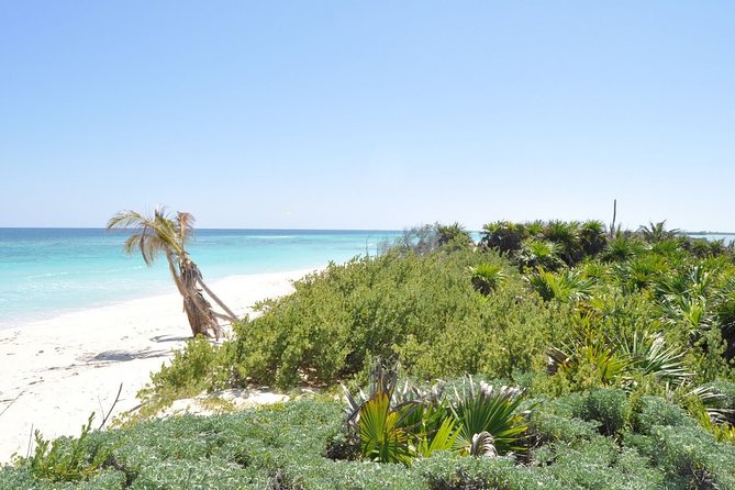 Private Full-Day Guided Tulum Coba and Cenote Tour with Lunch - Why Tulum, Cobá, and Two Cenotes Works So Well
