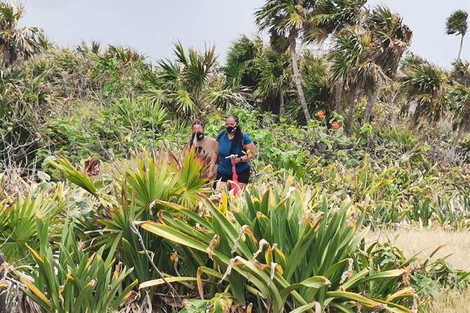 Private Full-Day Guided Tulum Coba and Cenote Tour with Lunch - Stop 2: Cobá Rainforest Walks, Birds, and Lakeside Atmosphere