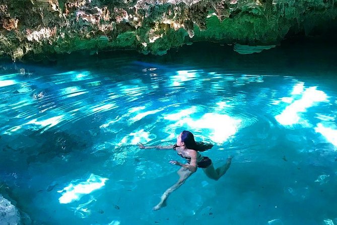 Private Guided Cenotes and Underground River Exploration - Wildlife and nature moments you can hope to see