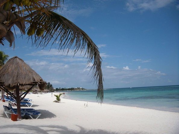 Private Half Day Tour in Cenote Cave and Swimming with Turtles - Key Points You’ll Care About