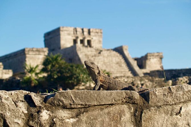 Private Half Day Tour to Tulum Temples and Downtown Shopping - Who Should Book This (and Who Might Pass)