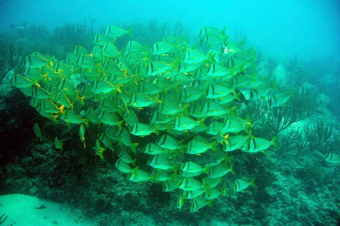 Private Isla Mujeres Adventure & Free Time - Timing, weather, and what to pack for a calm day on the water