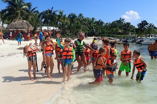Private Responsible Experience with Turtles (groups of 3 plus) - Snorkeling the Seagrass Corridors: How to Set Yourself Up for Great Turtle Time