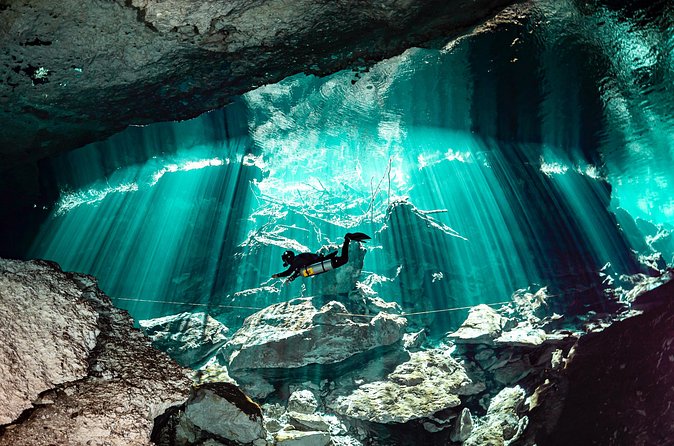 Private Scuba Diving in Cenote around Playa del Carmen - Your Two Underwater Sessions (About 45 Minutes Each)