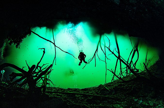 Private Scuba Diving in Cenote around Playa del Carmen - Guide and Shop Quality: What the Best Reviews Signal
