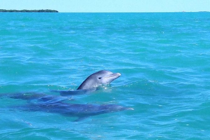 Private Sian Kaan Biosphere Tour - From Playa del Carmen to Sian Kaan: what the day feels like