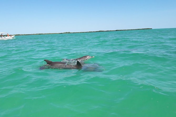 Private Sian Kaan Biosphere Tour - Price and pickup math from Cancun, plus what to pack