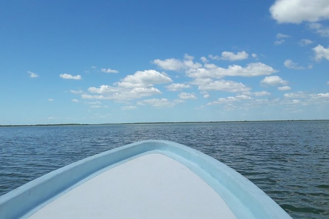 Private Sian Kaan Biosphere Tour - Should you book this private Sian Kaan tour?