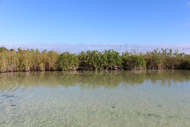 Private Sian Kaan Muyil Lazy River Tour - Timing, weather, and how to plan your day around 5 hours