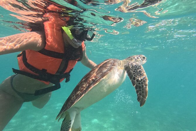 Private Snorkeling with Sea Turtles in Akumal Beach - Getting into the water with Darwin and Marlene’s style
