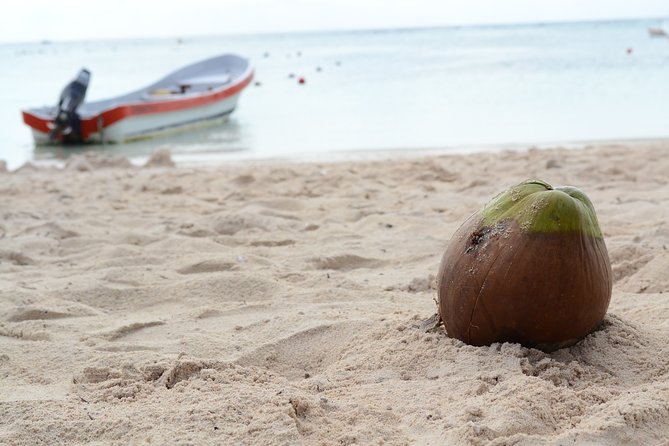Private swiming with Turtles in Akumal - Photos, add-ons, and the day’s “choose your own” feeling