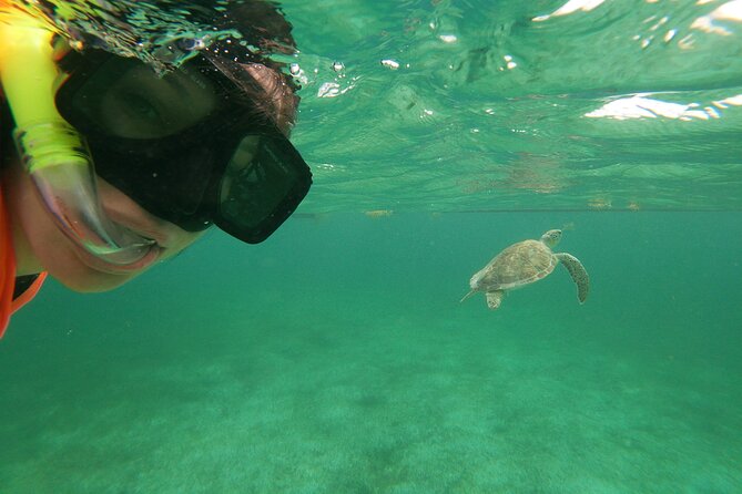 Private Tour: Akumal Marine Turtle Snorkeling and Cenote Adventure - Akumal Bay snorkeling: why the turtle time feels worth it