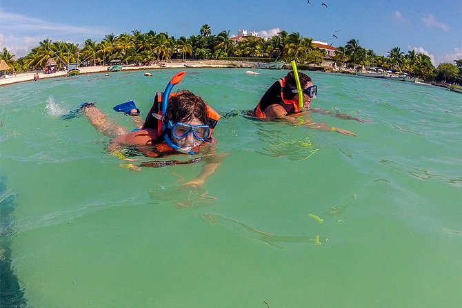 Private Tour: Akumal Marine Turtle Snorkeling and Cenote Adventure - Price and group value: what $695 per group really buys