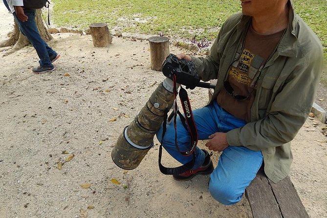 Private Tour: Birdwatching Playa del Carmen - Getting there without stress: pickup from Cancun, Playa del Carmen, Tulum, and Cozumel