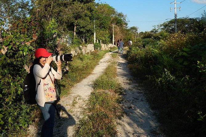 Private Tour: Birdwatching Playa del Carmen - The one possible drawback: wetland expectations vs your morning route