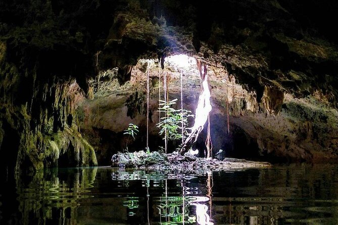 Private Tour Cenotes Sac Actun The Longest Underground River - Lunch, Snacks, and the Real Comfort of Not Chasing Food