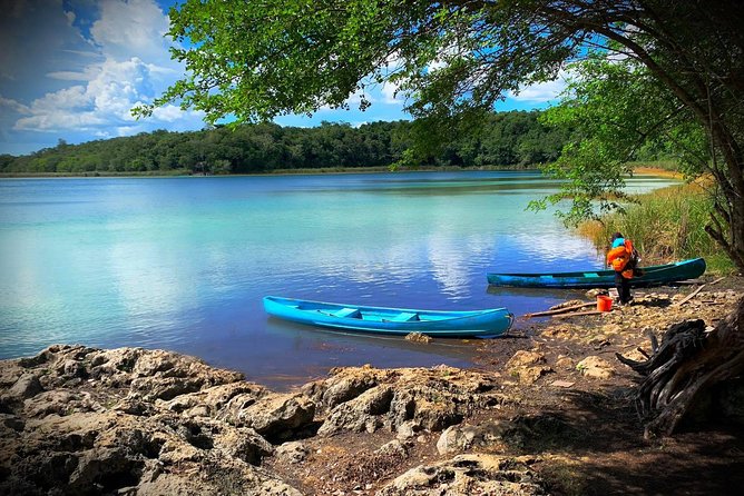 Private Tour: Coba ruins & Monkey Sanctuary with Punta Laguna - Punta Laguna monkey reserve: spider and howler sightings