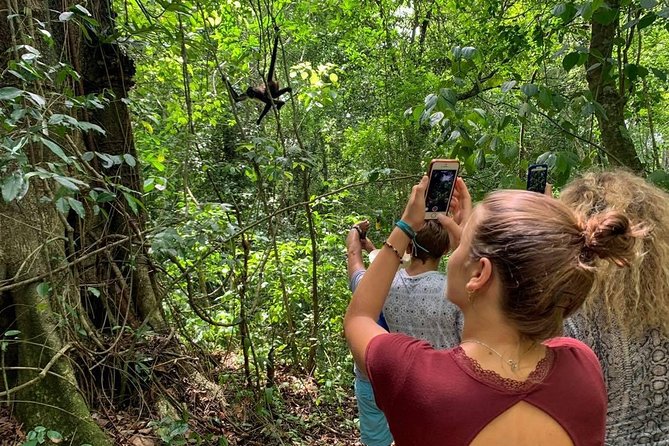 Private Tour: Coba ruins & Monkey Sanctuary with Punta Laguna - Morning pickup to a 6–7 hour flow