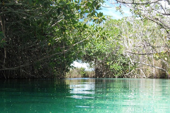 Private tour of Tulum Archaeological Site & Sian Ka'an Muyil - Why this private Tulum + Sian Ka’an day works so well