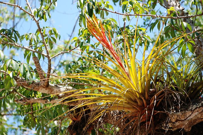 Private tour of Tulum Archaeological Site & Sian Ka'an Muyil - Stop 3: Sian Ka’an Biosphere Reserve and the Muyil float