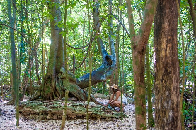 Private tour of Tulum Archaeological Site & Sian Ka'an Muyil - Tour timing and pickup: how to avoid morning chaos
