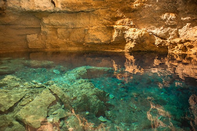 Private Tour Punta Laguna Monkey Sanctuary Zip Line - Cenote swim: cooling off in the water-focused finale