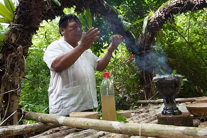 Private Tour Punta Laguna Monkey Sanctuary Zip Line - The morning flow: from 8:00 am start to a full 6 hours