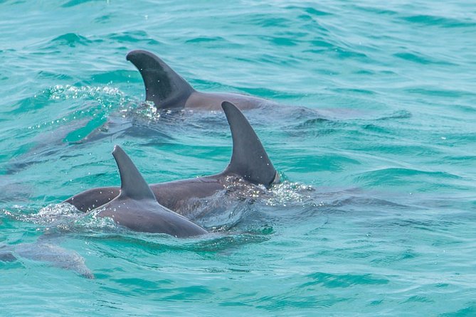 Private tour - Sian Ka´an Adventure - Stop 1: Sian Ka’an Biosphere Reserve (orientation + context)