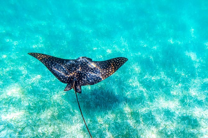 Private tour - Sian Ka´an Adventure - The land intro inside Sian Ka’an