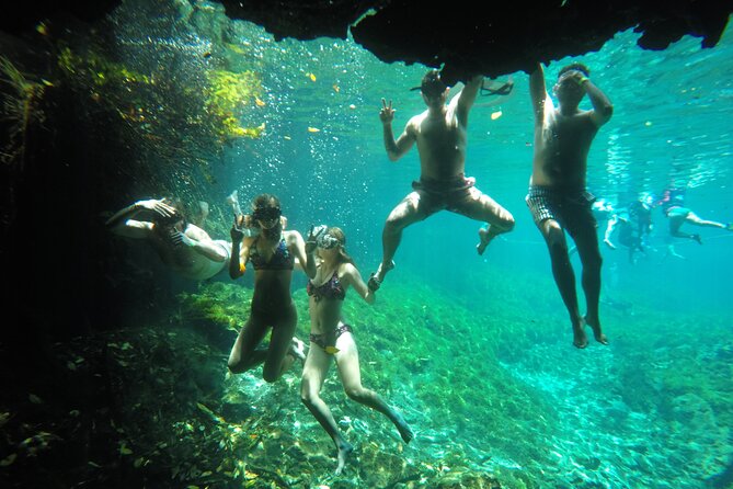 Private Tour Swim with Turtles, 2 Cenotes & Gopro - Who this private turtle and Xunaan Ha cenote day is best for