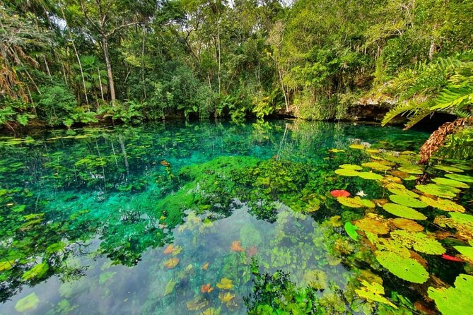 Private Tour Tankah 3 Zip Lines 3 Cenotes Canoe Snorkel Community - Getting Picked Up With a Mobile Ticket (and Fewer Headaches)