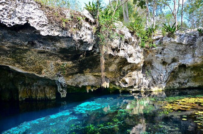Private Tour The Best Cenotes in Tulum Riviera Maya - Key things that make this cenote day work