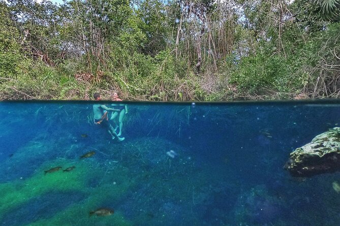 Private Tour The Best Cenotes in Tulum Riviera Maya - Cenote Xunaan Ha: open-air vibes and the jump option