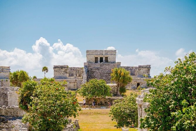 Private Tour to Tulum and Swimming with Turtles in Akumal - Key Highlights You’ll Actually Care About