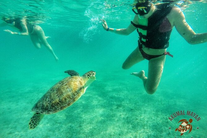 Private Tour to Tulum and Swimming with Turtles in Akumal - Akumal Bay Snorkeling: Sea Turtles in Their Natural Habitat