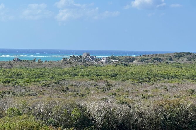 Private Tour to Tulum and Swimming with Turtles in Akumal - Practical Tips for a Smooth Day in Tulum and Akumal