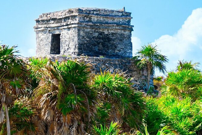 Private Tour to Tulum, Cenote and Swimming with Turtles - Lunch options: tacos on your schedule instead of a fixed meal