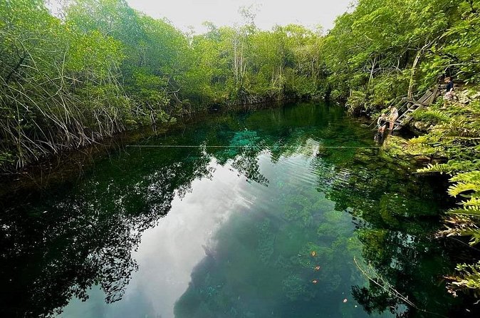 Private Tour to Tulum Cenotes Sac Actun - Price and value: what you’re paying for at $190 per person